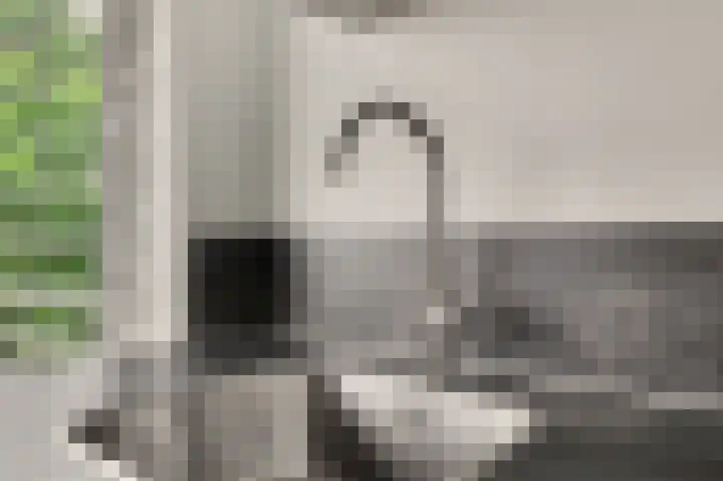 Predikherenlaan 269 Tilburg thumbnail 19