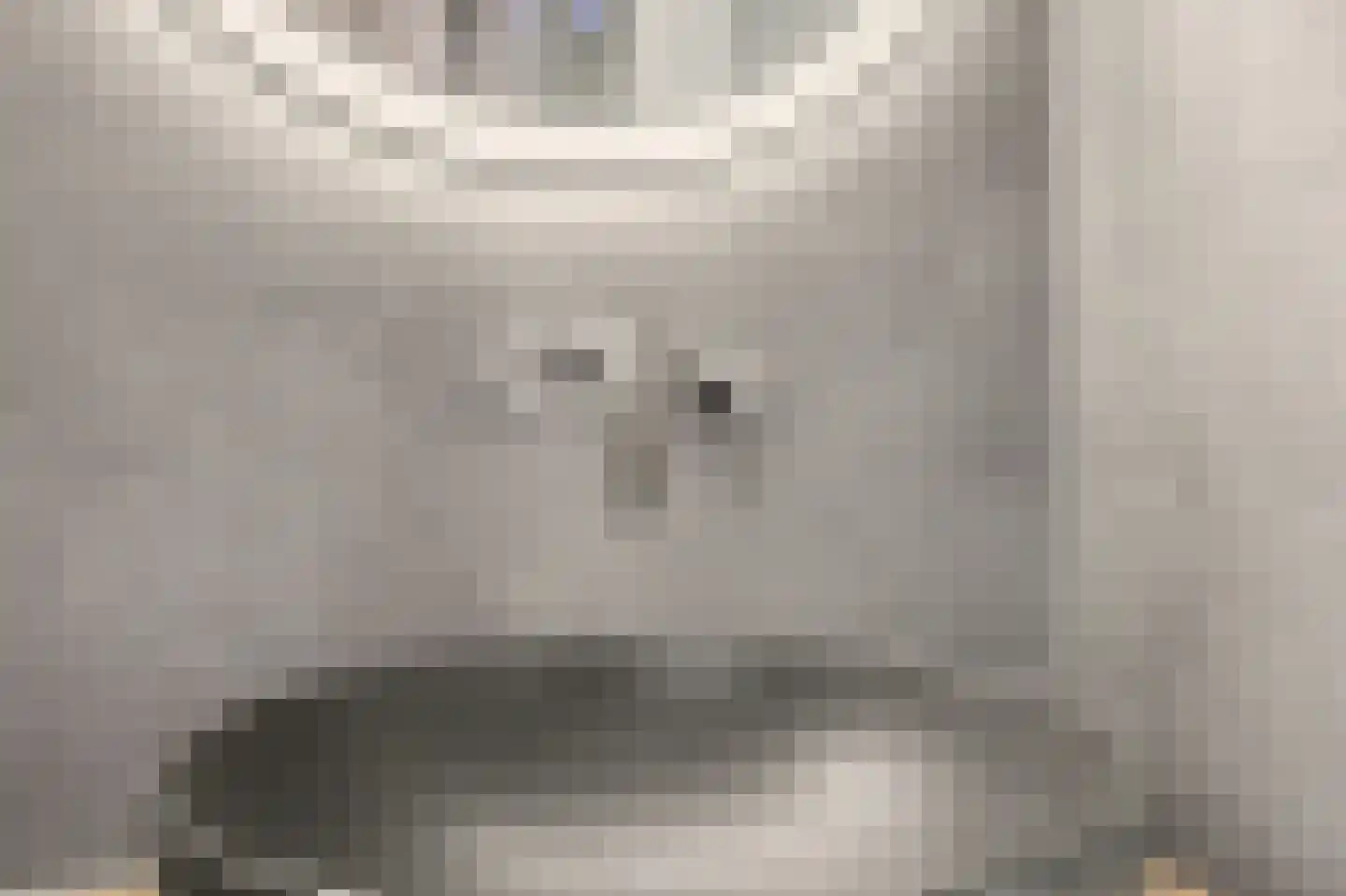 Predikherenlaan 269 Tilburg thumbnail 23