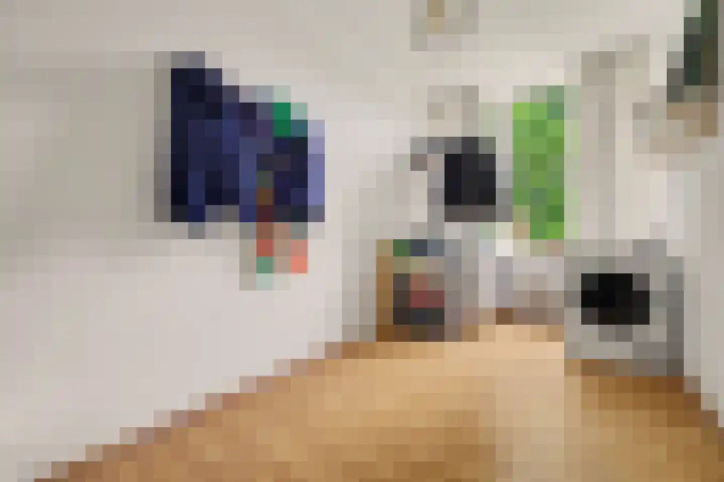 Predikherenlaan 269 Tilburg thumbnail 24