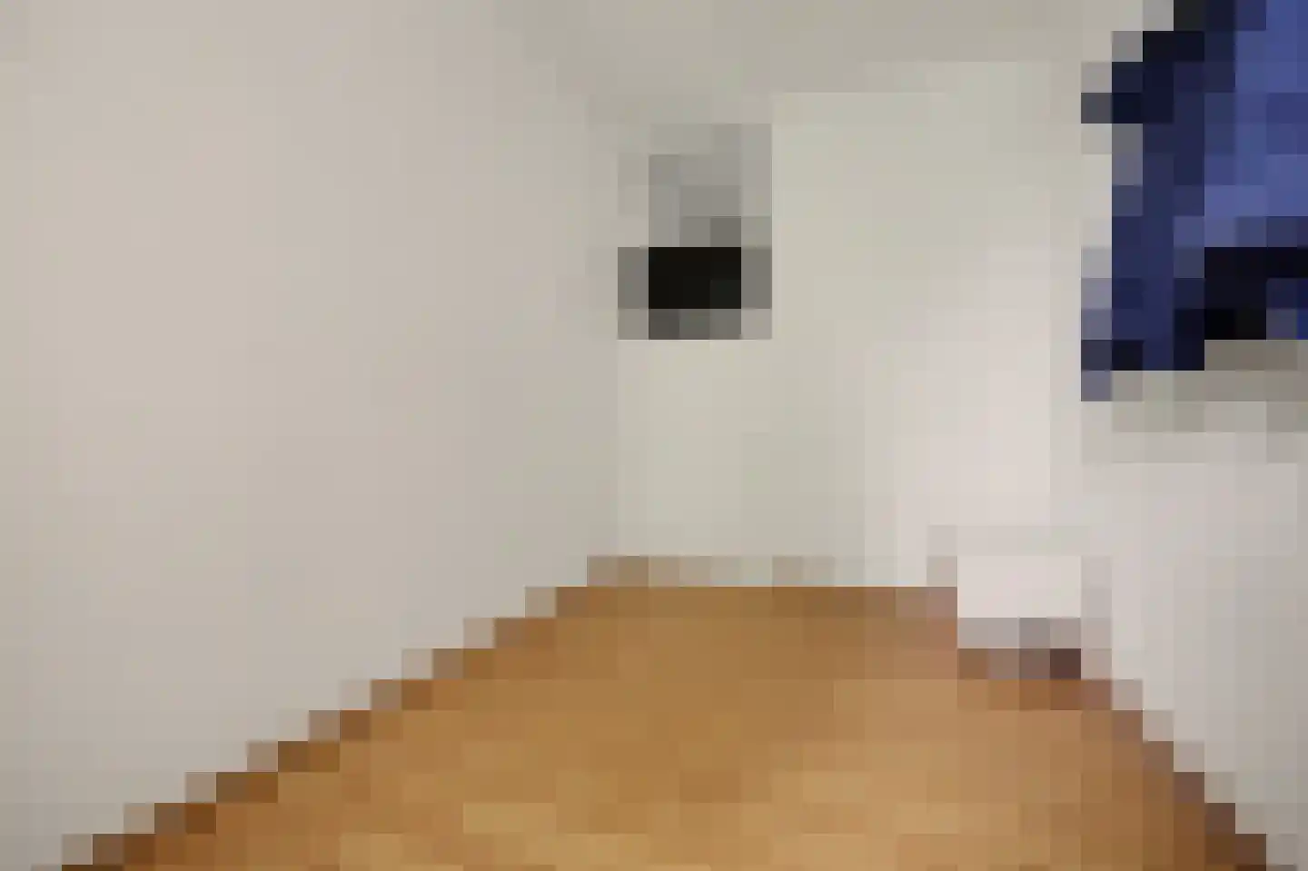 Predikherenlaan 269 Tilburg thumbnail 25