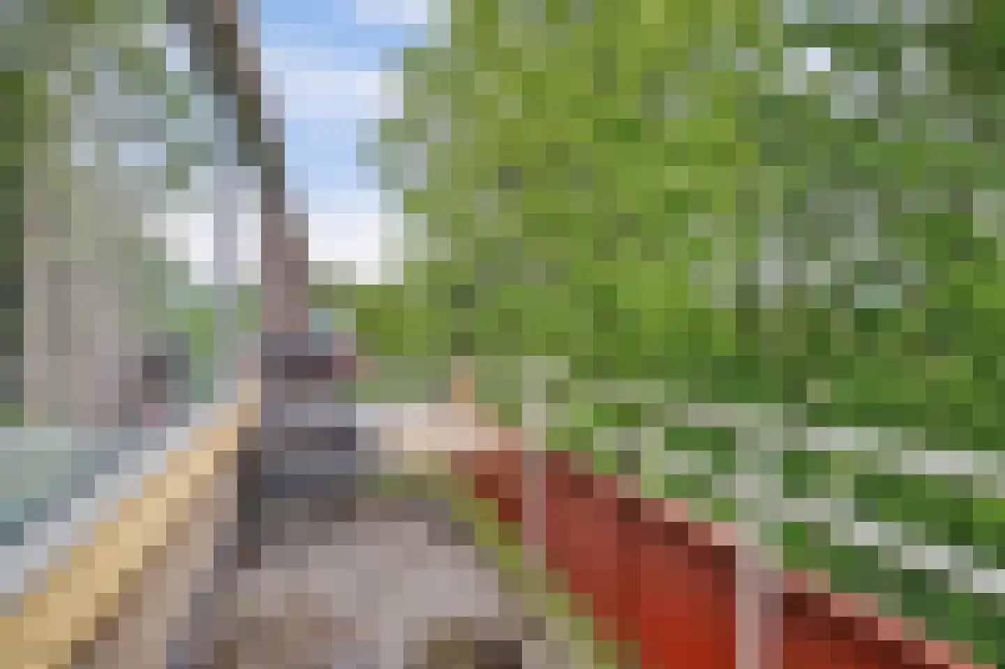 Predikherenlaan 269 Tilburg thumbnail 26
