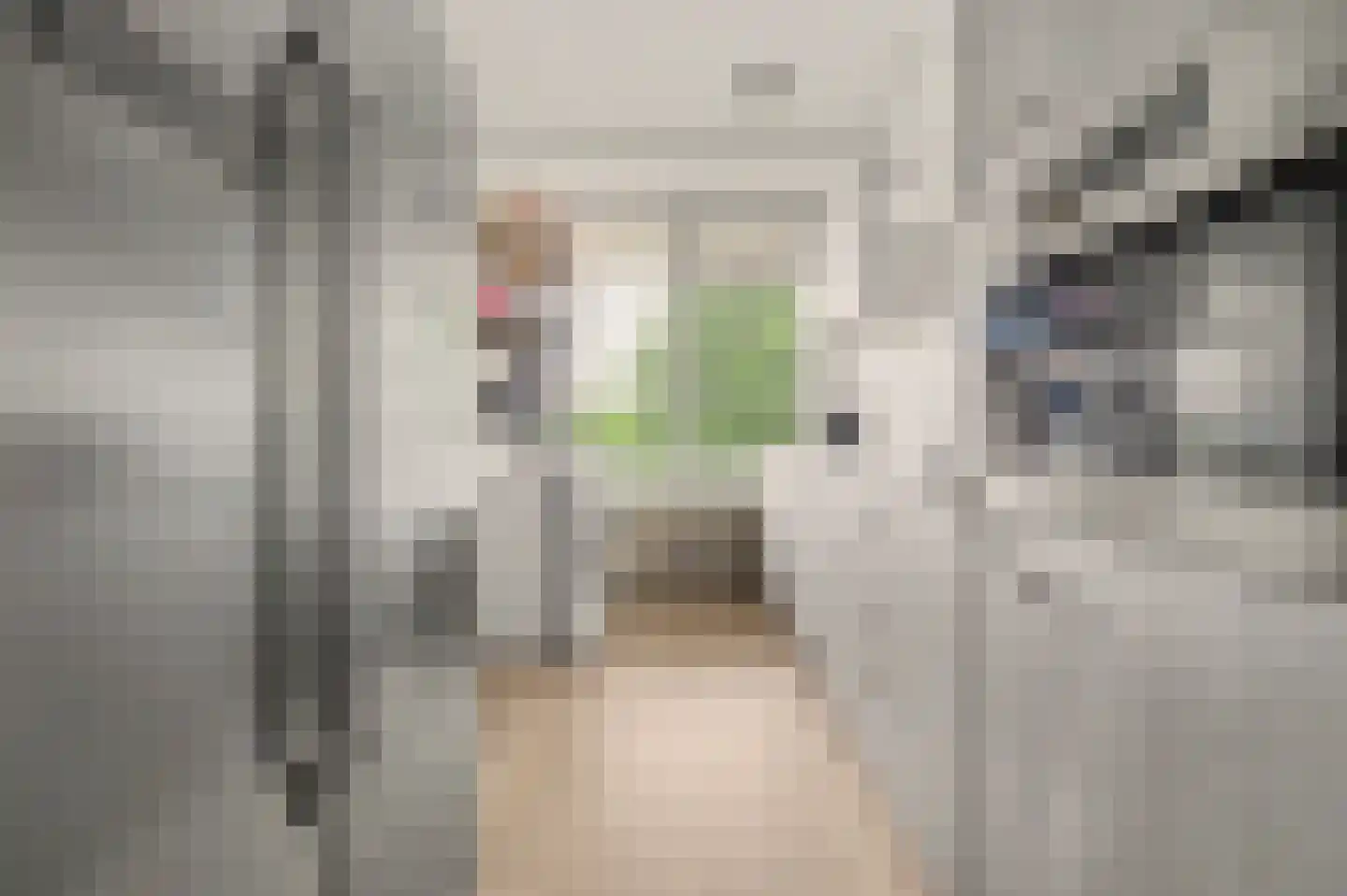 Predikherenlaan 269 Tilburg thumbnail 4