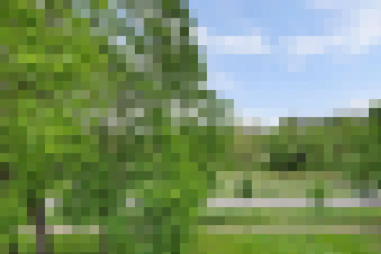 Predikherenlaan 269 Tilburg thumbnail 5