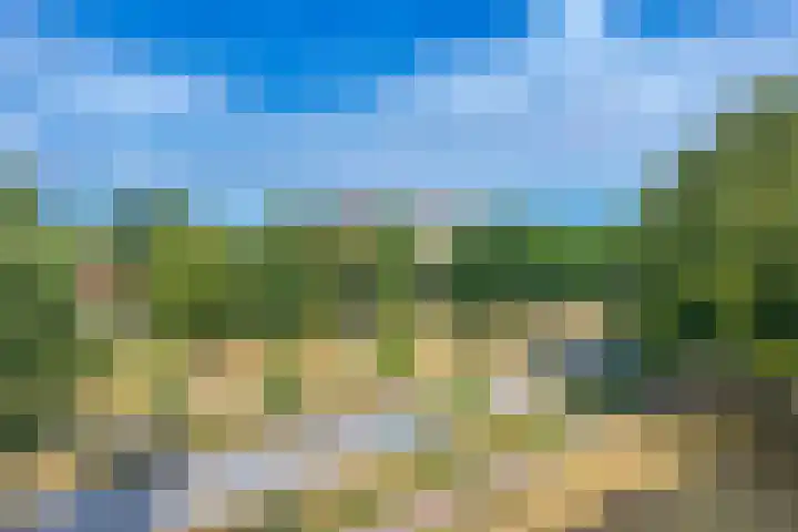 Predikherenlaan 283 Tilburg thumbnail 9