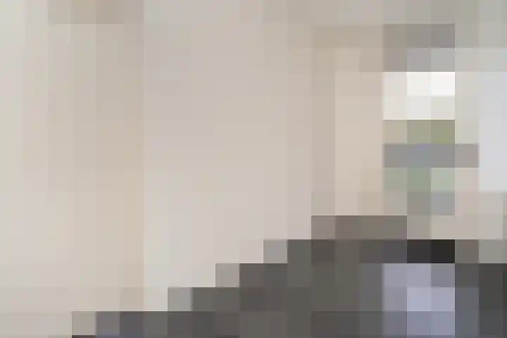 Predikherenlaan 31 Tilburg thumbnail 13