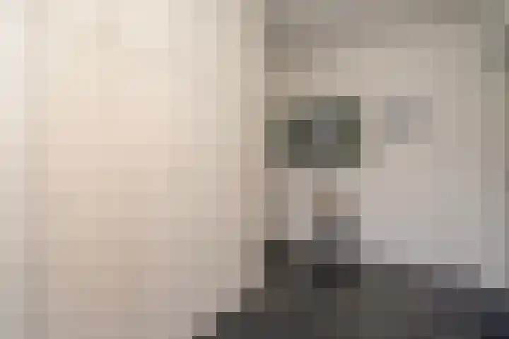 Predikherenlaan 31 Tilburg thumbnail 14