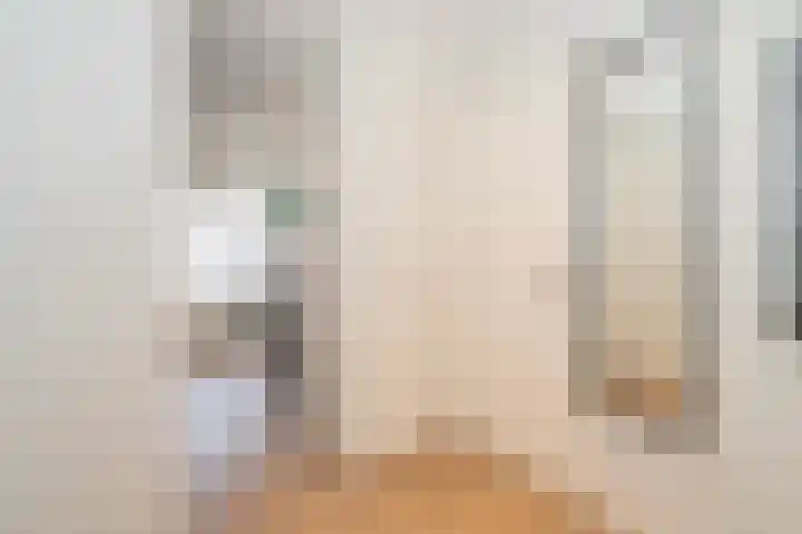 Predikherenlaan 31 Tilburg thumbnail 15