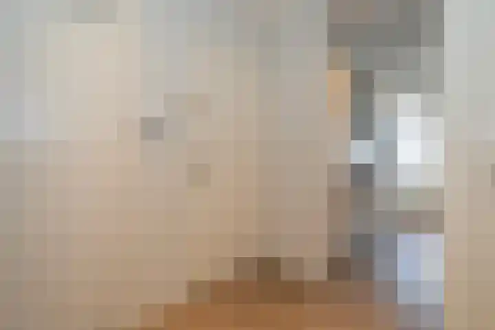 Predikherenlaan 31 Tilburg thumbnail 18