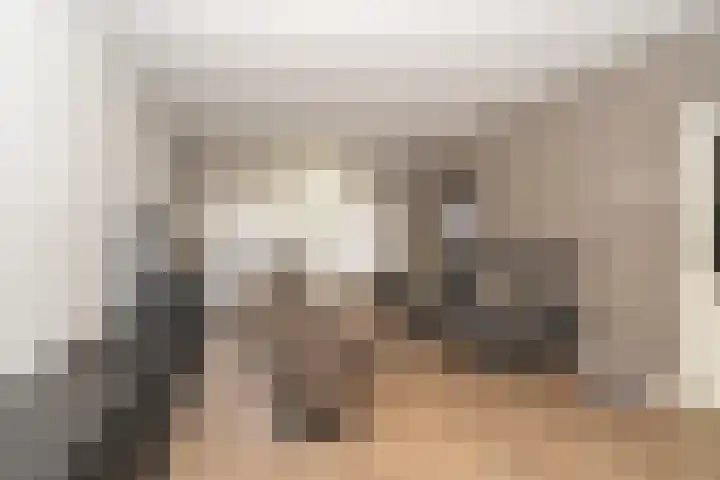 Predikherenlaan 31 Tilburg thumbnail 20
