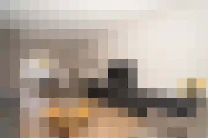 Predikherenlaan 31 Tilburg thumbnail 22