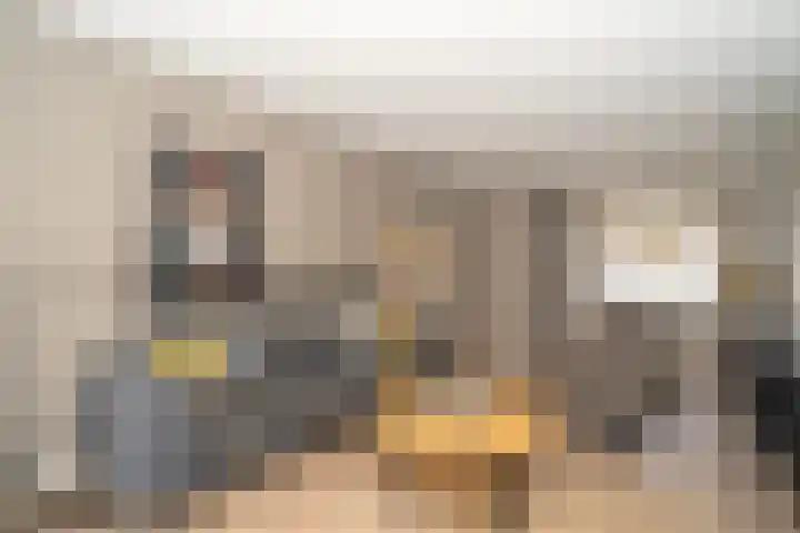 Predikherenlaan 31 Tilburg thumbnail 23
