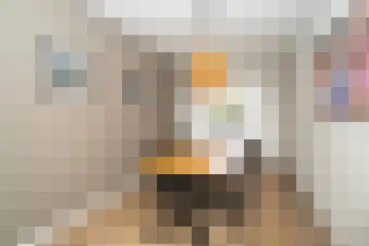 Predikherenlaan 31 Tilburg thumbnail 25