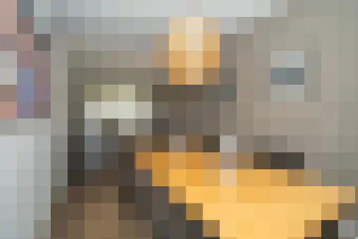 Predikherenlaan 31 Tilburg thumbnail 26