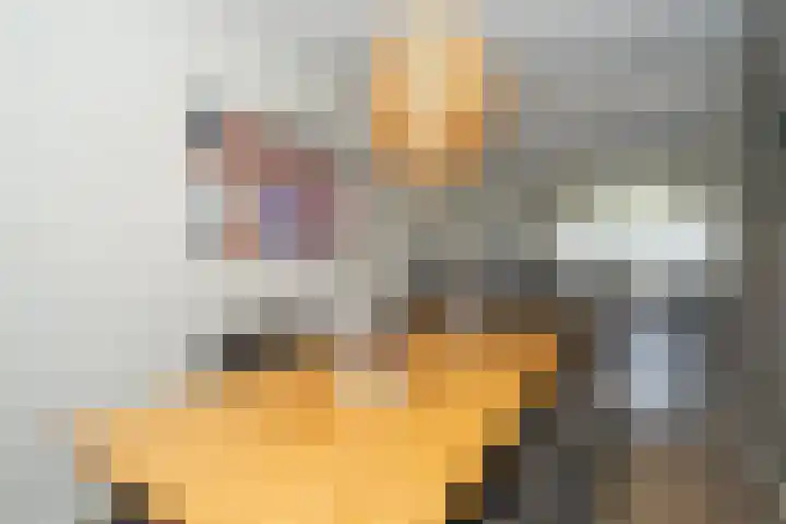 Predikherenlaan 31 Tilburg thumbnail 27
