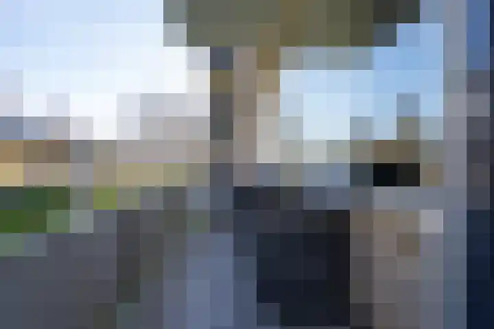 Predikherenlaan 31 Tilburg thumbnail 28