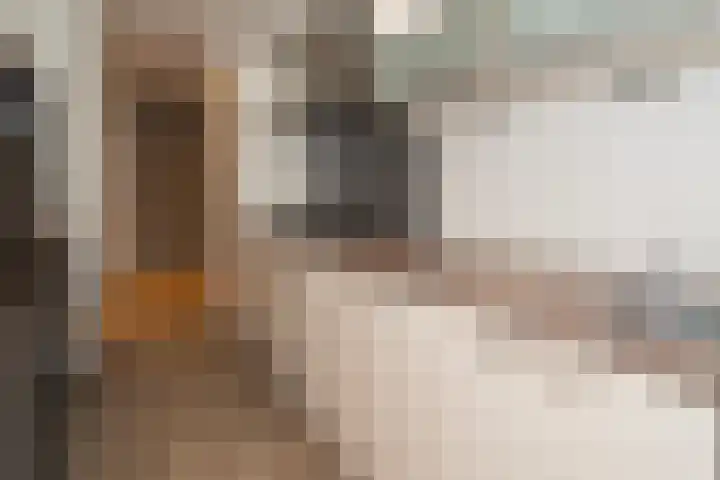 Predikherenlaan 31 Tilburg thumbnail 32