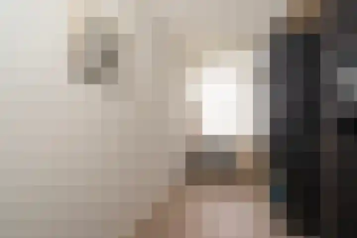 Predikherenlaan 31 Tilburg thumbnail 40