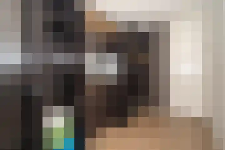 Predikherenlaan 31 Tilburg thumbnail 42