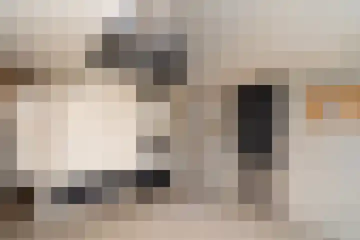 Predikherenlaan 31 Tilburg thumbnail 8