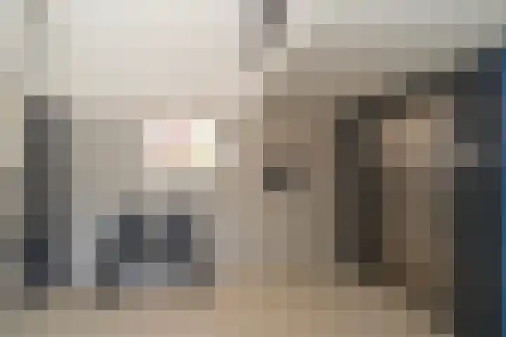 Predikherenlaan 31 Tilburg thumbnail 9