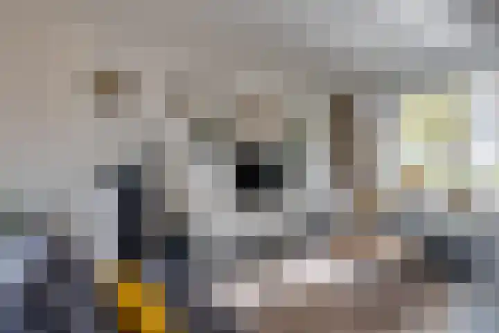 Predikherenlaan 56 Tilburg thumbnail 11