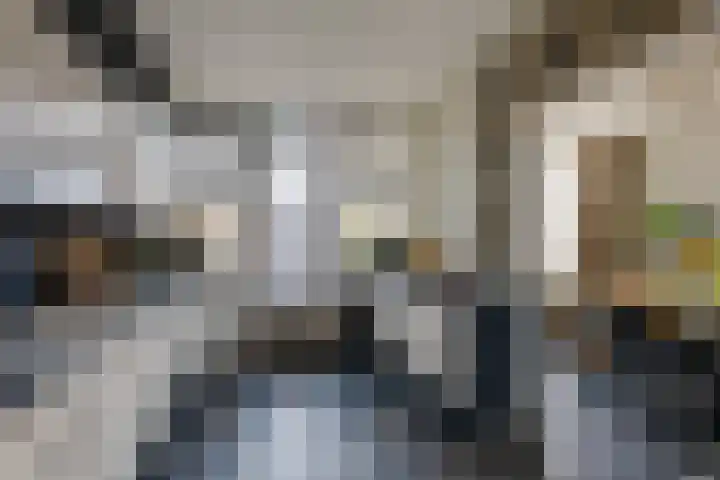 Predikherenlaan 56 Tilburg thumbnail 14