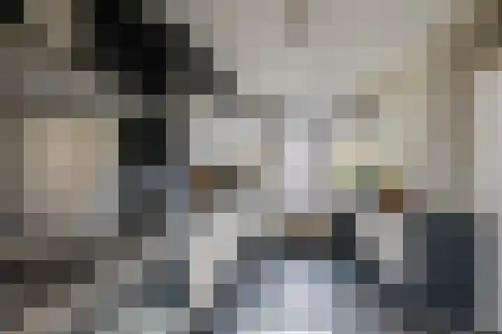 Predikherenlaan 56 Tilburg thumbnail 15