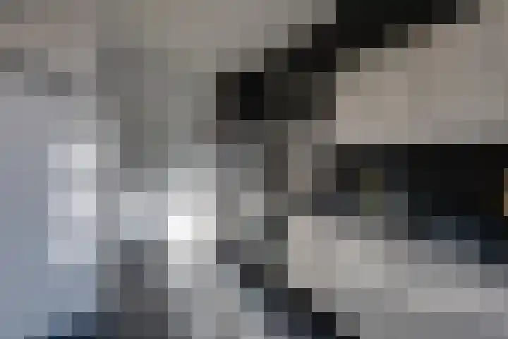 Predikherenlaan 56 Tilburg thumbnail 17