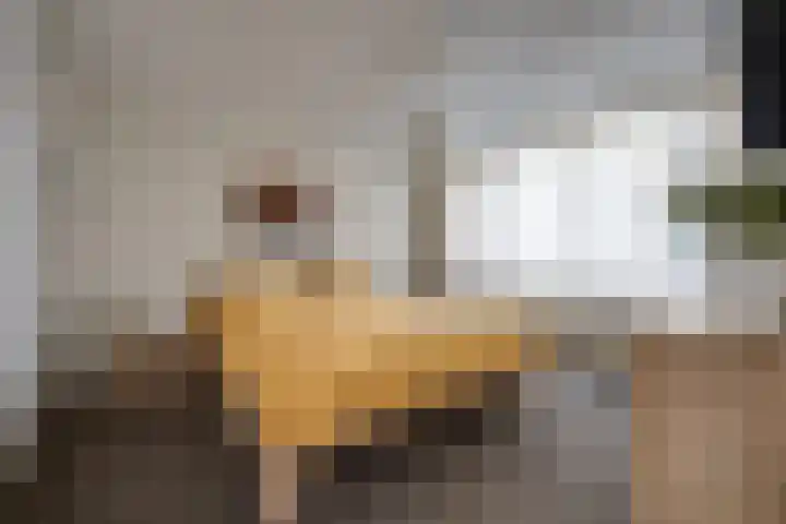 Predikherenlaan 56 Tilburg thumbnail 19