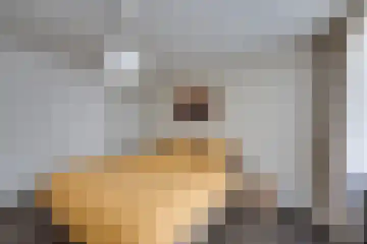 Predikherenlaan 56 Tilburg thumbnail 20