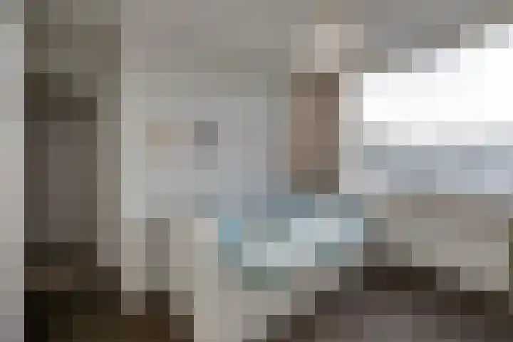 Predikherenlaan 56 Tilburg thumbnail 22