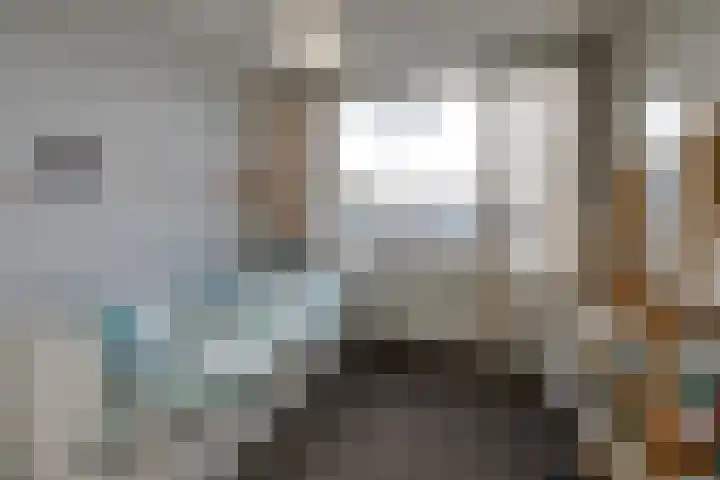 Predikherenlaan 56 Tilburg thumbnail 23