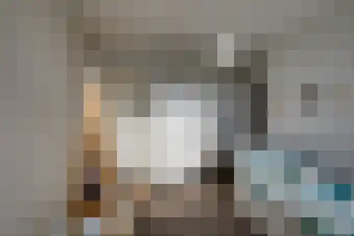 Predikherenlaan 56 Tilburg thumbnail 25