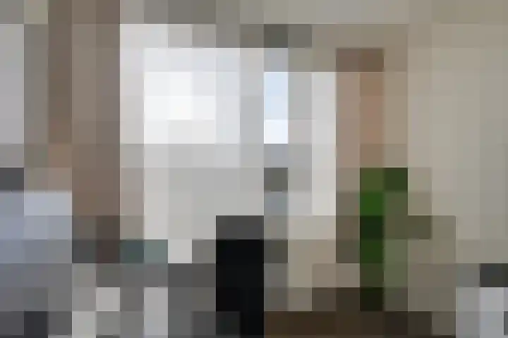 Predikherenlaan 56 Tilburg thumbnail 28