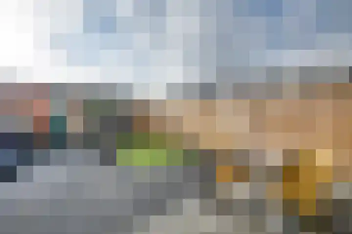 Predikherenlaan 56 Tilburg thumbnail 35