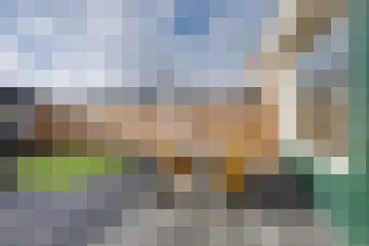 Predikherenlaan 56 Tilburg thumbnail 36