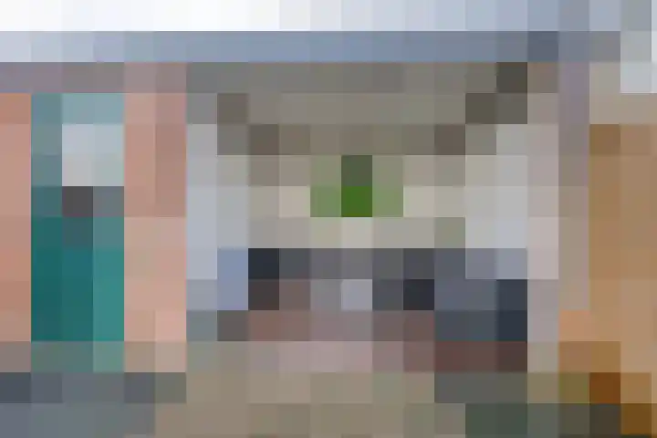 Predikherenlaan 56 Tilburg thumbnail 38