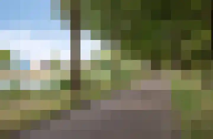 Predikherenlaan 56 Tilburg thumbnail 39