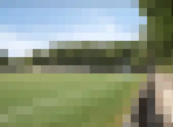Predikherenlaan 56 Tilburg thumbnail 41