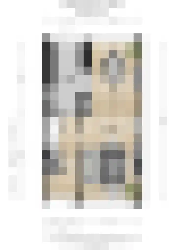 Predikherenlaan 56 Tilburg thumbnail 44