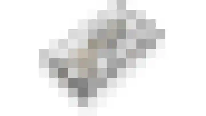 Predikherenlaan 56 Tilburg thumbnail 45
