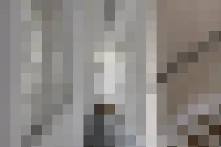 Predikherenlaan 56 Tilburg thumbnail 5