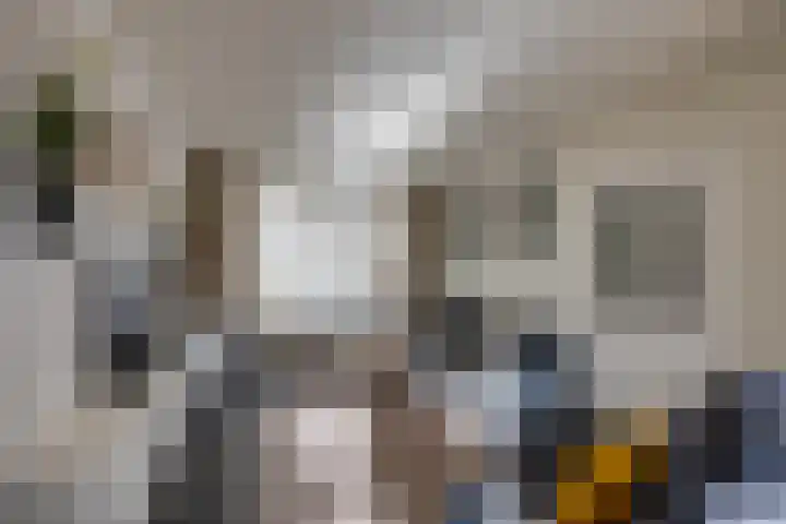 Predikherenlaan 56 Tilburg thumbnail 9