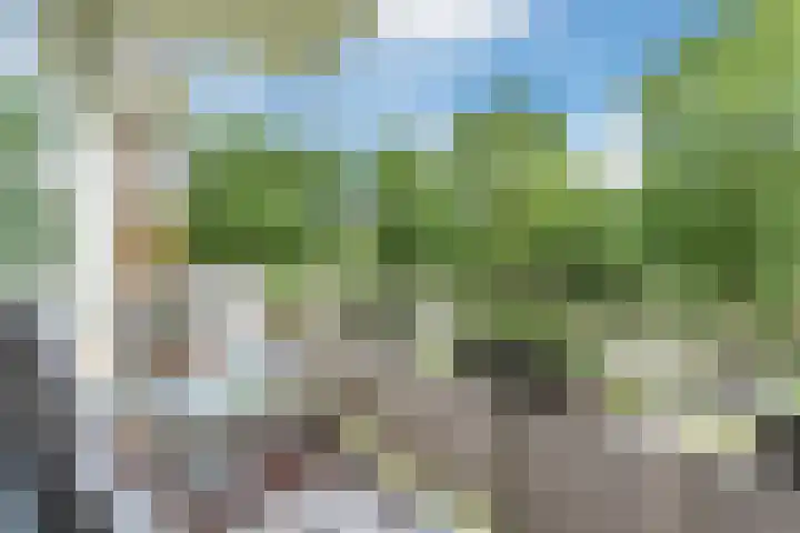 Predikherenlaan 61 Tilburg thumbnail 4