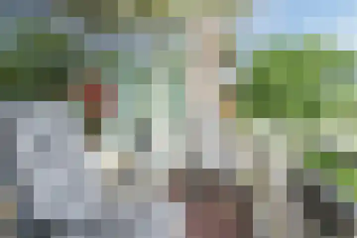 Predikherenlaan 61 Tilburg thumbnail 5