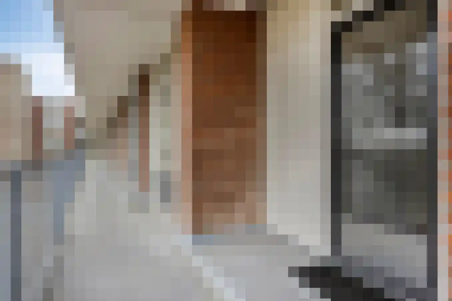 Predikherenlaan 67 Tilburg thumbnail 10