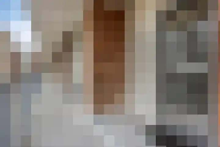 Predikherenlaan 67 Tilburg thumbnail 10