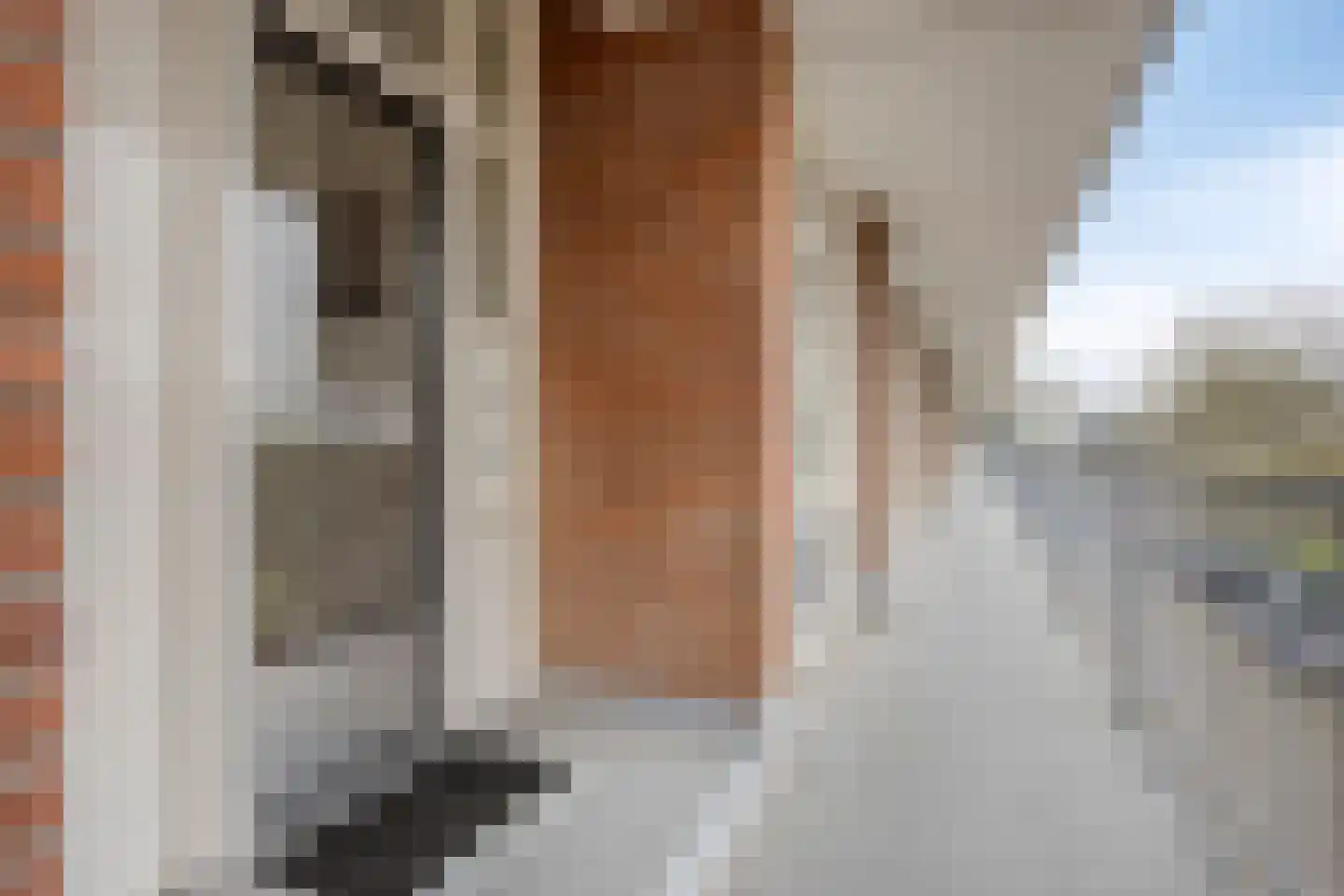 Predikherenlaan 67 Tilburg thumbnail 11