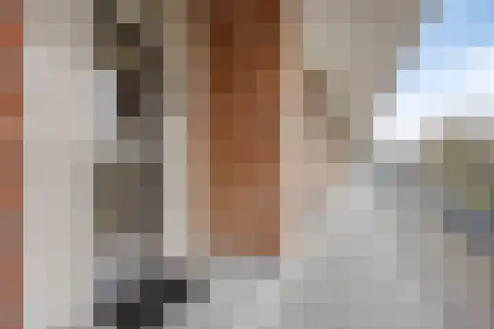 Predikherenlaan 67 Tilburg thumbnail 11