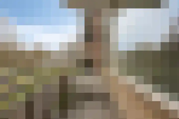 Predikherenlaan 67 Tilburg thumbnail 15